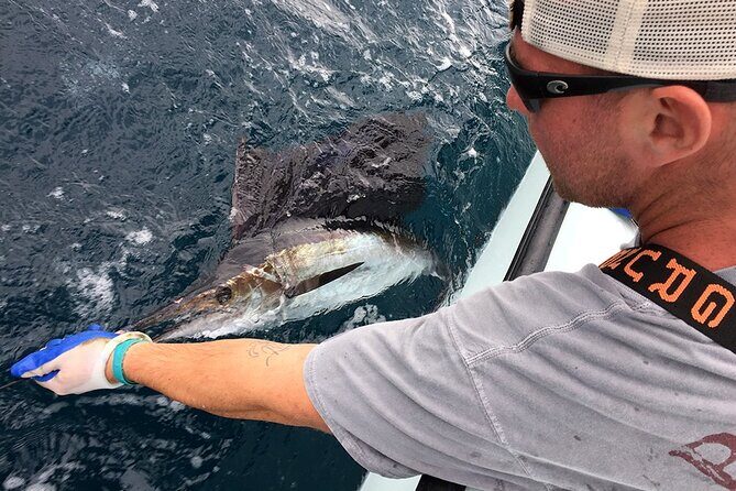 6 hour trip - What you could catch: species highlights from real trips