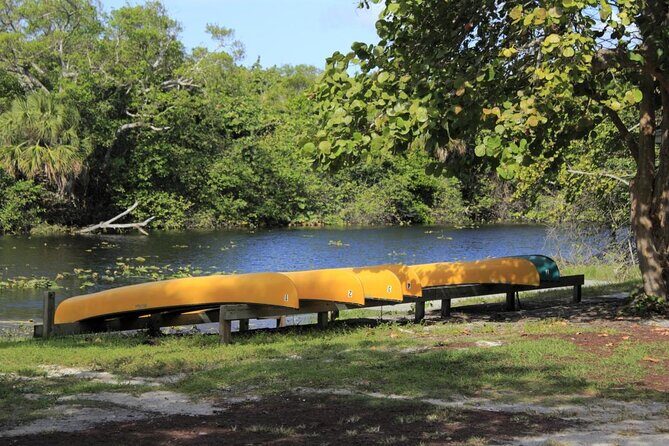 Best of Fort Lauderdale Small Group Tour with Intercoastal Cruise - Key highlights to know before you go