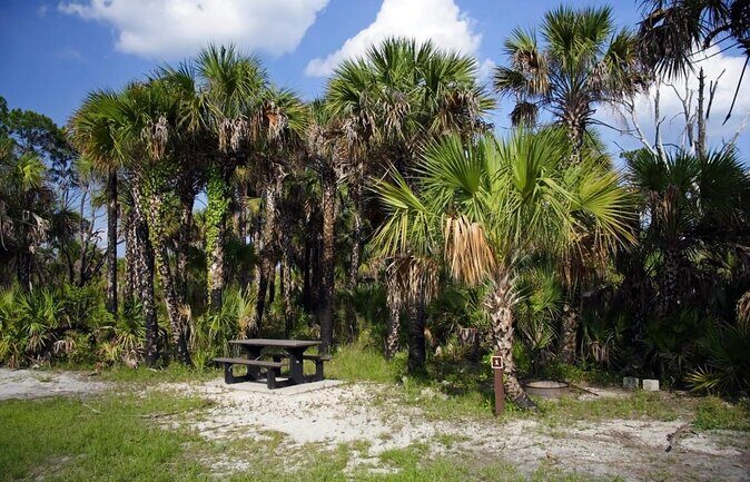 Everglades Day Safari from Ft Lauderdale - Key things you should know before you go