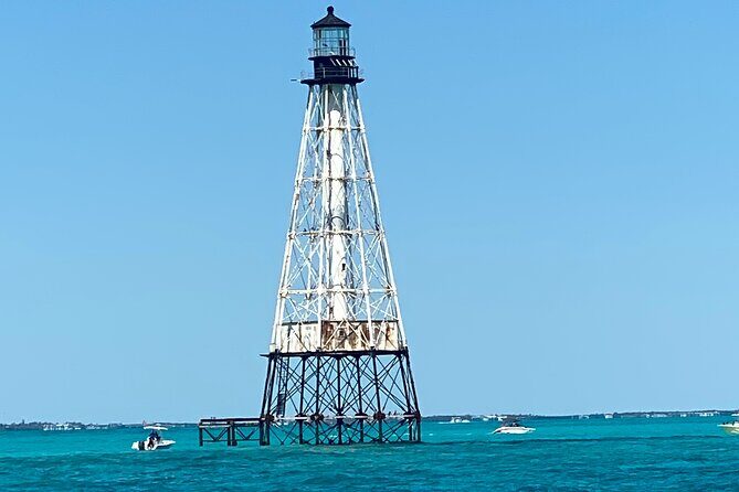 Ft Lauderdale to Islamorada Tour with Boat Ride and Lunch - Islamorada Mangrove Boat Cruise: The wildlife part of the day
