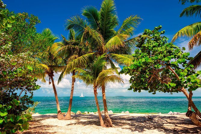 Ft Lauderdale to Key West with Optional Activities - The Bus Reality Check: Comfort, AC, Stops, and Bathrooms