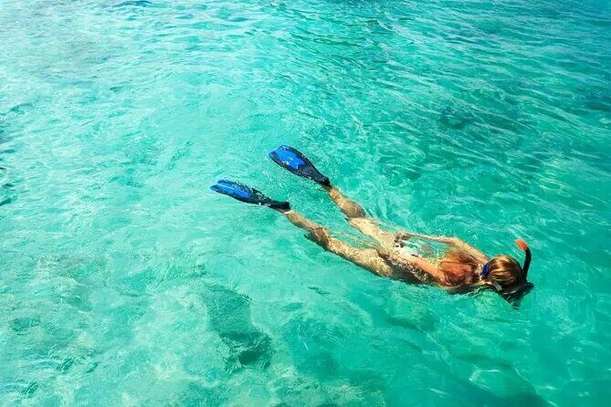 Snorkel Fort Lauderdale Jean Cousteaus Reef and Snorkel Trail - Key Things to Know Before You Go